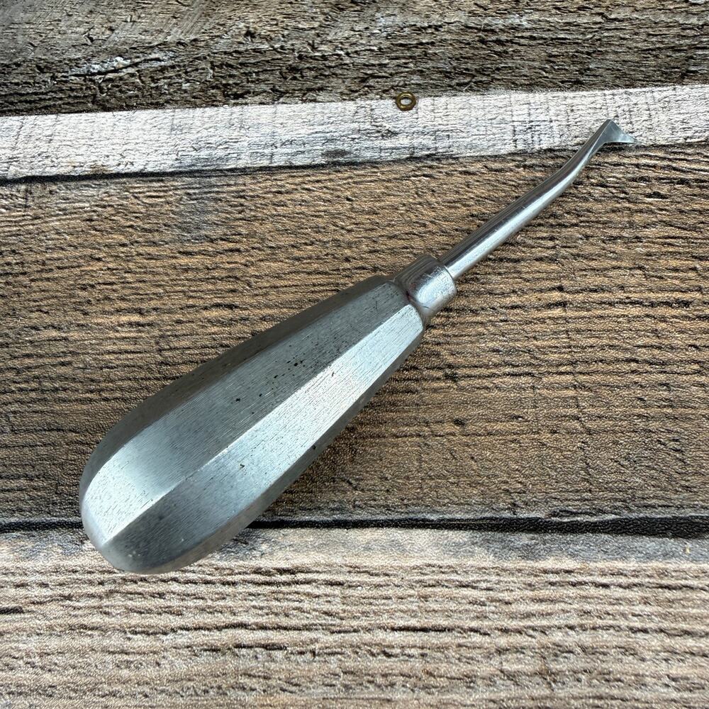 Dental Elevator Stainless Steel Luxating Tool